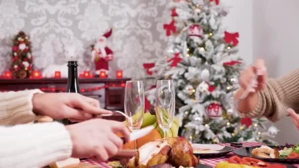 Pareja disfrutando de una cena de Navidad juntos, en frente de una chimenea — Vídeos de Stock