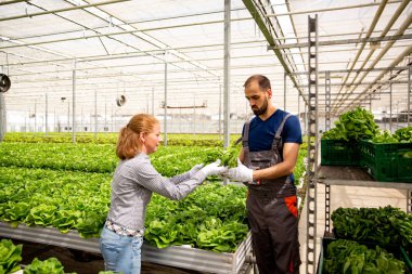 İki işçi sandıkta düzenlenmesi için birbirlerine salata gönderirler.
