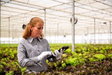 Çalışan kadın bir salata plantasyon yakınında bir tablet üzerinde bir şey dokunur