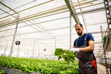 El ele tutuşan genç bir işçi ile alt görünümü