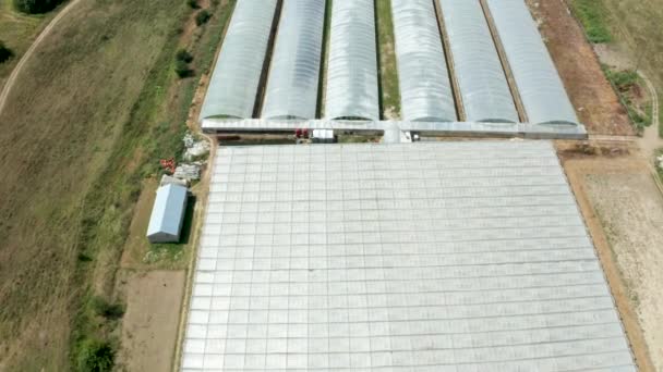 Drone volando sobre un invernadero con verduras creciendo — Vídeo de stock