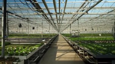 Serada uçan drone ile havadan görünüm