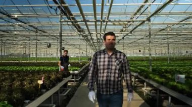 Genç mutlu çiftçi yeşil salata onun plantasyon kontrol