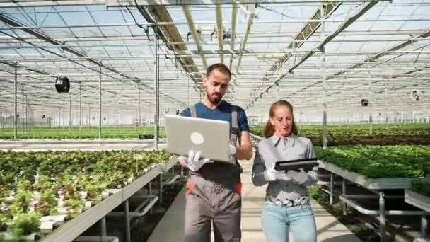 Agronomy engineers walking with laptop in a greenhouse — Stock Video