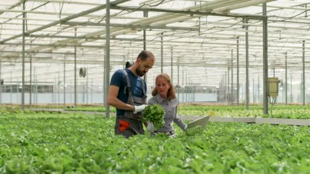 女工程师与农场工人在温室 — 图库视频影像