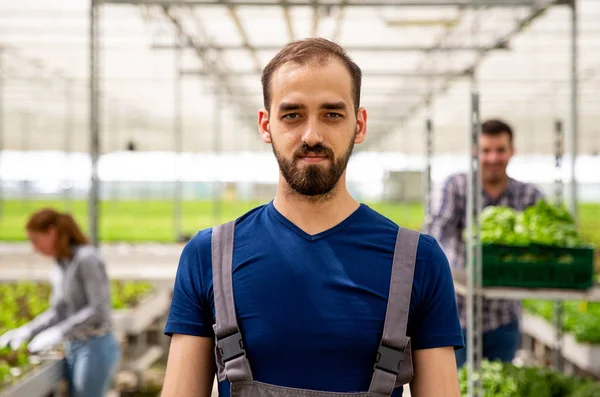 Close up pictures of a young farmer in the greenhouse — Stock Photo, Image