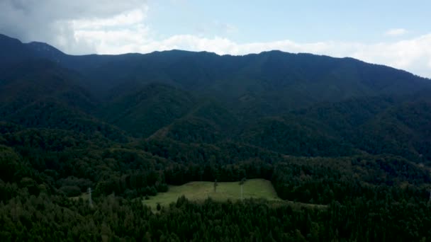 Vista aérea desde el dron volando sobre el hermoso bosque verde — Vídeos de Stock