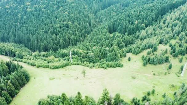 Voo de drone sobre montanha com floresta verde — Vídeo de Stock