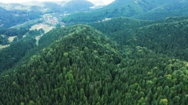 Dron dağlardaki güzel yeşil ormanın üzerinde uçuyor