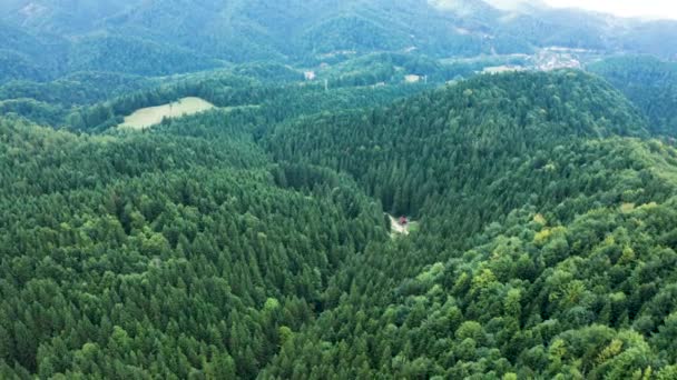 Vista aérea da montanha com floresta verde — Vídeo de Stock