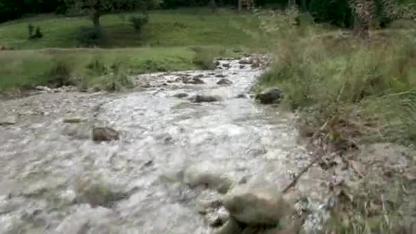 Van dichtbij bekijken rivier in groen bos in de bergen — Stockvideo
