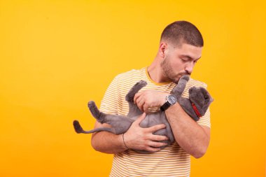 Kollarında sevimli bir kedi tutan çekici genç adam.