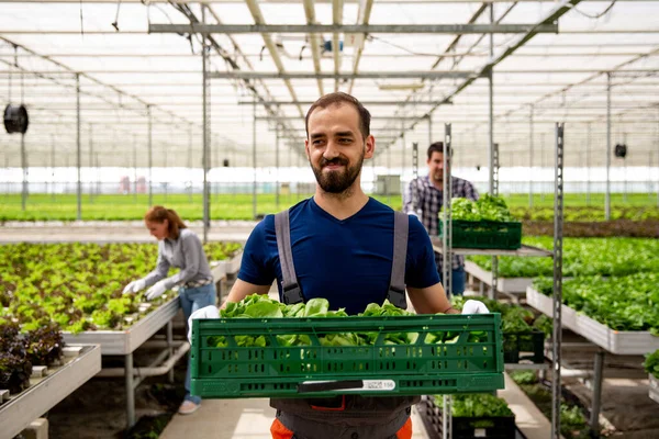 En feliz joven granjero sosteniendo una caja de ensaladas en su mano — Foto de Stock