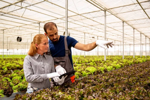 Zwei Forscher untersuchen einige Daten auf dem Tablet — Stockfoto