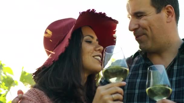 Mooi koppel proeverij wijn in lensfakkels — Stockvideo