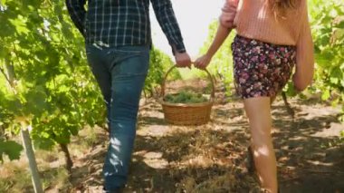 Kadın ve erkeğin üzüm dolu sepeti taşıdığı arka plan.