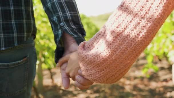 Close up shot of couple holding hands in a vineyard — Stock Video