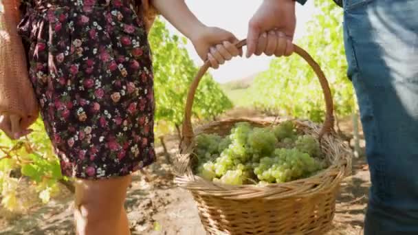 Hombre y mujer llevando una gran cesta con uvas blancas — Vídeo de stock