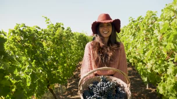 Femme souriante soulevant un panier avec des raisins — Video