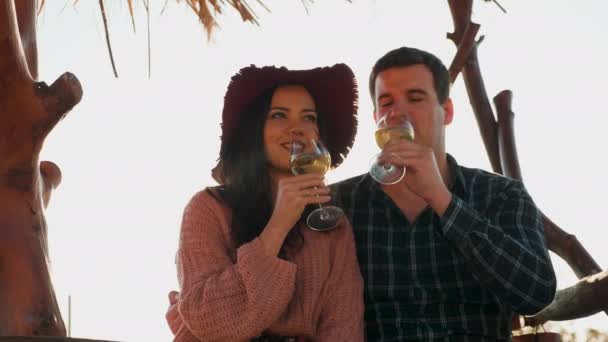 В любви пара звон бокалов с вином — стоковое видео