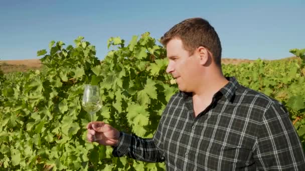 Man kijkt naar een glas wijn in een prachtige wijngaard — Stockvideo