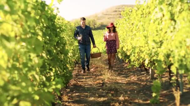 Beautiful caucasian couple with glasses of wine in hands — Stock Video