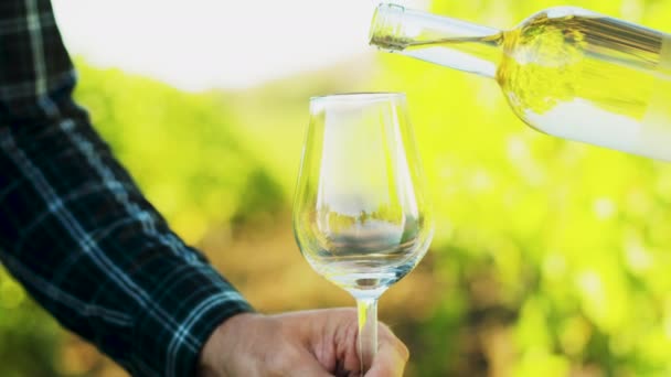 Verter vino blanco en una copa sobre un fondo de viñedo — Vídeos de Stock