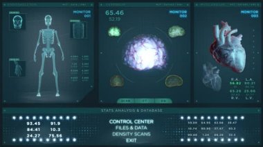 Biyoloji HUD X Ray 3 boyutlu kalp ve beyin