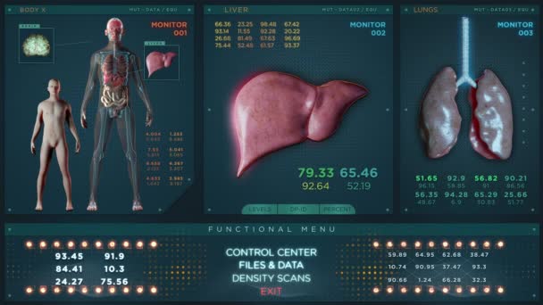 Lever, longen en mannelijke hersenen in futuristische röntgenscan — Stockvideo