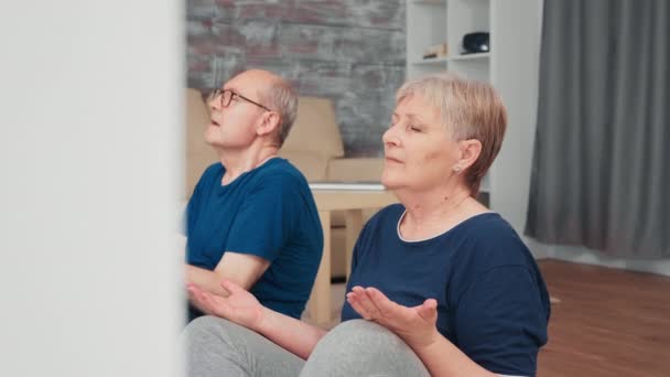 Pensionerade äldre par med hälsosam livsstil — Stockvideo