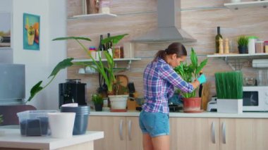 Evdeki mutfakta kadın bahçıvanlığı.