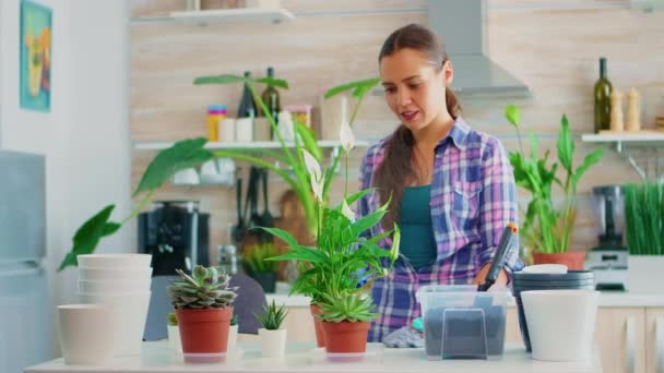 植物を散布する女 — ストック動画