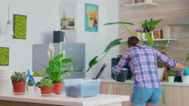 Trazendo vasos de flores na mesa de trabalho — Vídeo de Stock