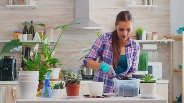 Kvinna återplantera blommor i köket — Stockvideo