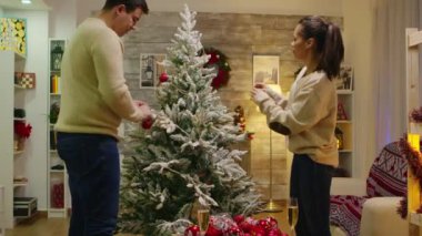 Beyaz adam ve kadın Noel ağacını süslemekten mutlu olurlar.