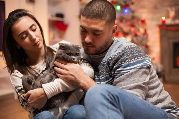 Alegre pareja jugando con su gato —  Fotos de Stock