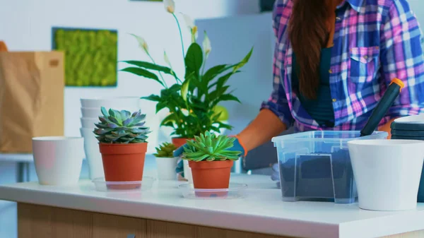 Preparing flowers for replanting — Stock Photo, Image