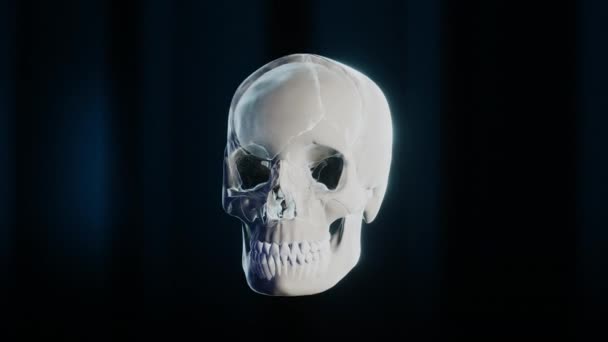 Mauvaise dent molaire dans le squelette sur fond noir — Video