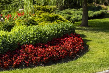 flowerbed çiçek tasarımı ile