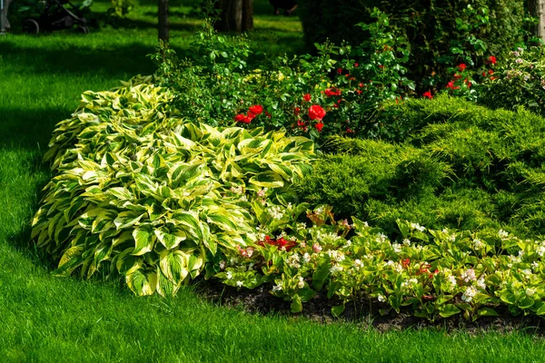 Flower beds surrounded by flowers and trees — Stock Photo, Image