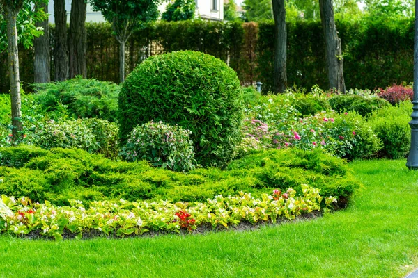 Macizos de flores rodeados de flores y árboles — Foto de Stock