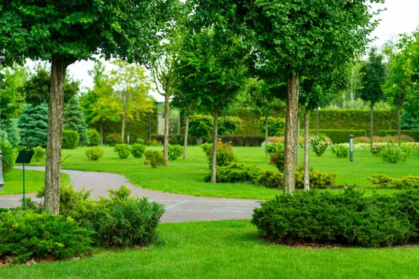 绿色公园的瓷砖路径与景观设计 — 图库照片