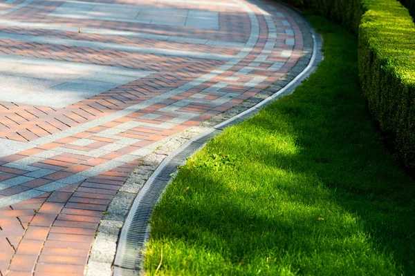 Тротуарная плитка и подстриженная трава в ландшафтном дизайне — стоковое фото