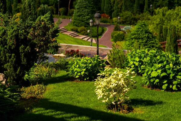 Peyzaj tasarımındaki çalılar