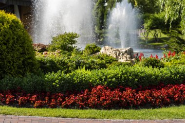 bir flowerbed su deposu yakınındaki çiçekler