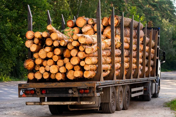 Madera redonda en un camión — Foto de Stock