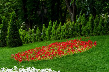 flowerbed çiçek peyzaj ile