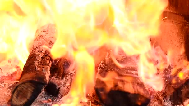 Flammendes Feuer brennender Holzscheite im Kamin — Stockvideo