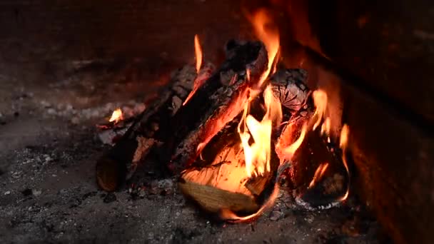 Tyst brinnande trä loggar i spisen — Stockvideo