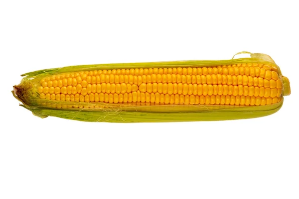 Свіжа стигла кукурудза на білому — стокове фото